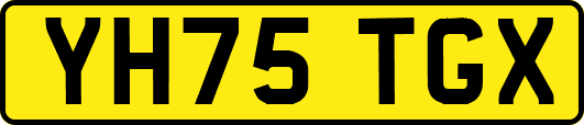 YH75TGX