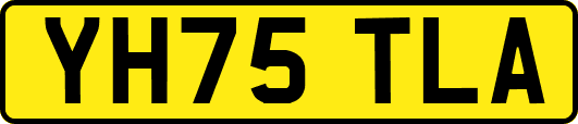 YH75TLA