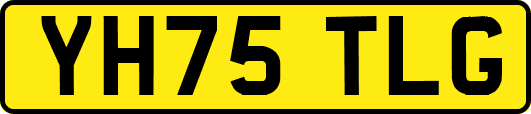 YH75TLG