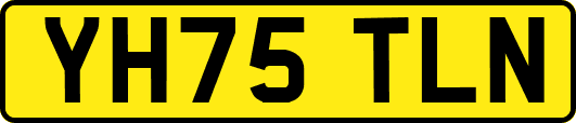 YH75TLN