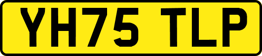 YH75TLP