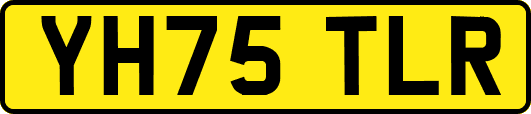 YH75TLR