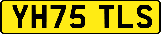 YH75TLS