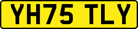 YH75TLY