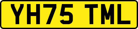 YH75TML
