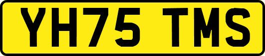 YH75TMS