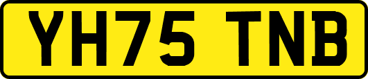 YH75TNB