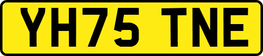 YH75TNE