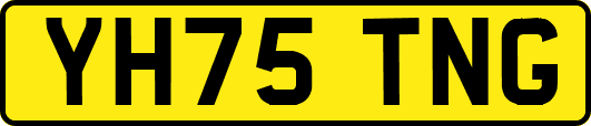 YH75TNG