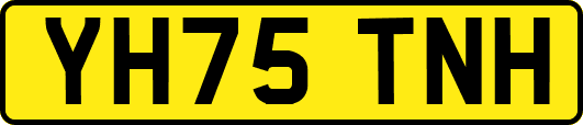 YH75TNH