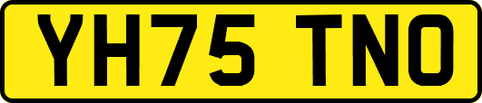 YH75TNO