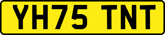 YH75TNT