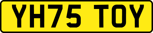 YH75TOY