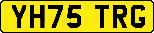 YH75TRG