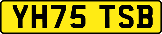 YH75TSB