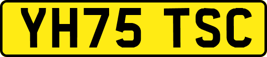 YH75TSC