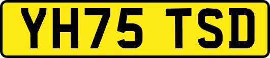 YH75TSD