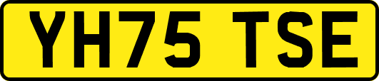 YH75TSE