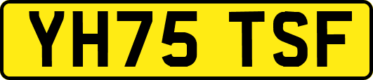 YH75TSF