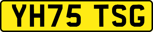 YH75TSG