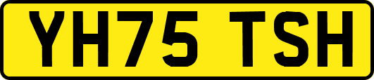 YH75TSH