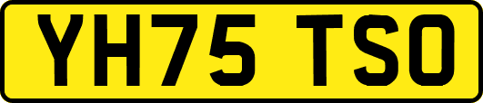 YH75TSO