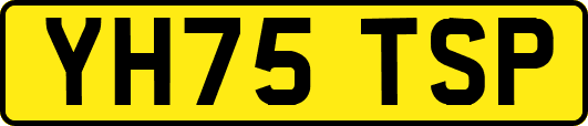 YH75TSP