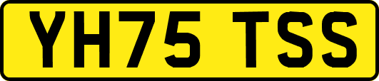 YH75TSS
