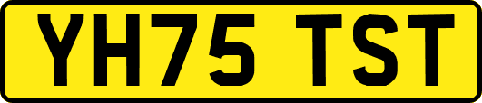 YH75TST