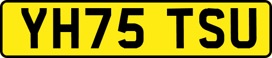 YH75TSU