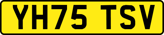 YH75TSV