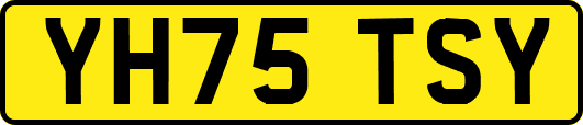YH75TSY