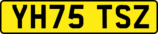 YH75TSZ