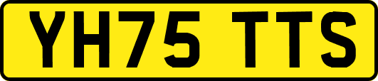 YH75TTS