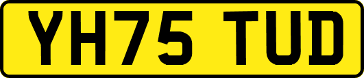 YH75TUD