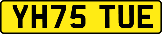 YH75TUE