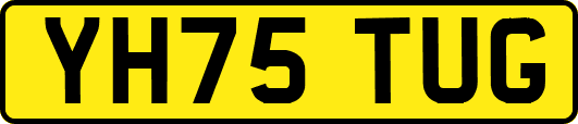 YH75TUG