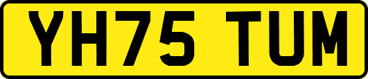 YH75TUM