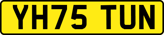 YH75TUN