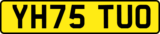 YH75TUO