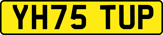 YH75TUP
