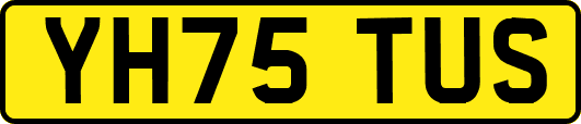 YH75TUS