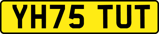 YH75TUT