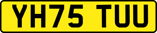 YH75TUU