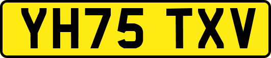 YH75TXV