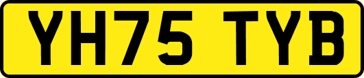 YH75TYB
