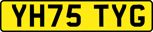 YH75TYG