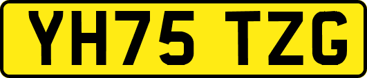 YH75TZG