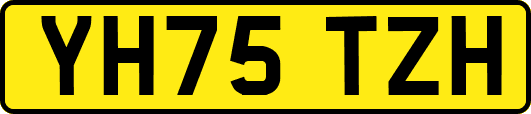 YH75TZH
