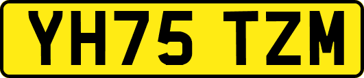 YH75TZM